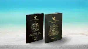 Grenada Vs St Kitts and Nevis passport: Which program is more suitable for investors?